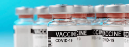 COVID-19 vaccine bottles in a row